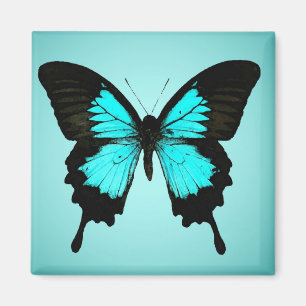 Aimant Papillon - bleu turquoise et noir
