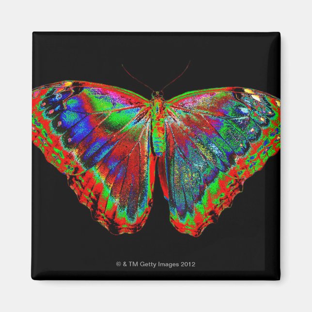 Aimant Papillon coloré sur fond noir 3 (Devant)