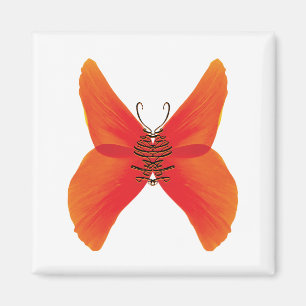 Aimant Papillon Coquelicot Orange Rouge avec Votre Nom