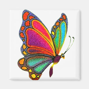 Aimant Papillon d'arc-en-ciel