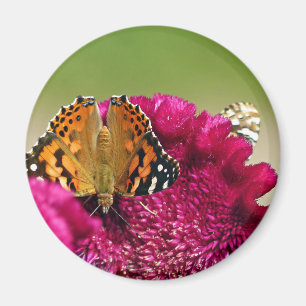 Aimant Papillon de la Dame peinte