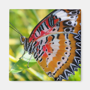 Aimant Papillon de la Dame peinte