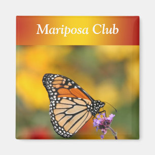 Aimant Papillon de monarque à la recherche de pollen