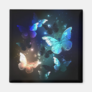 Aimant Papillon de nuit