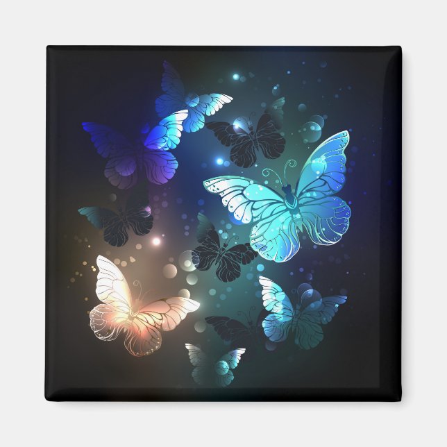 Aimant Papillon de nuit (Devant)