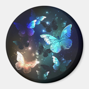 Aimant Papillon de nuit voltigeant
