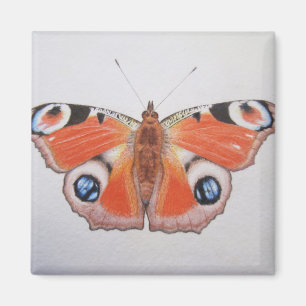 Aimant Papillon de paon 2012