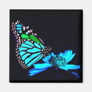 Aimant Papillon en lumière bleue