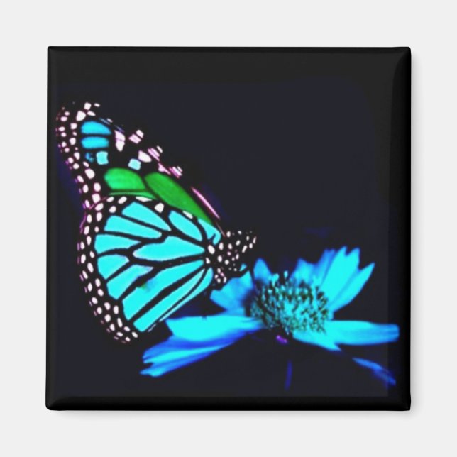 Aimant Papillon en lumière bleue (Devant)