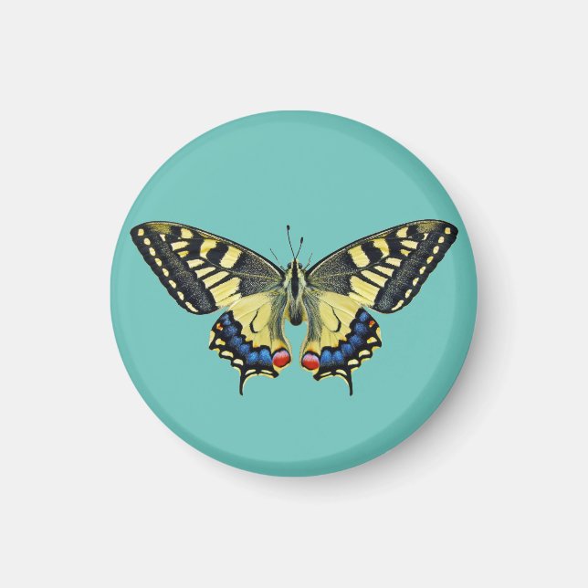 Aimant Papillon jaune et noir (Devant)