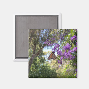 Aimant Papillon Monarque sur Fleurs Violettes