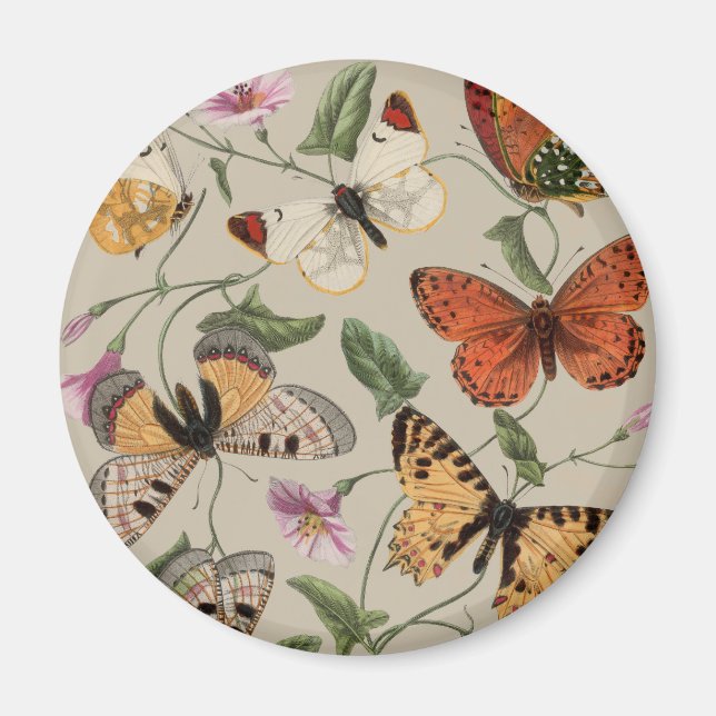Aimant Papillon Moth Nature Dessin aquarelle antique (Devant)