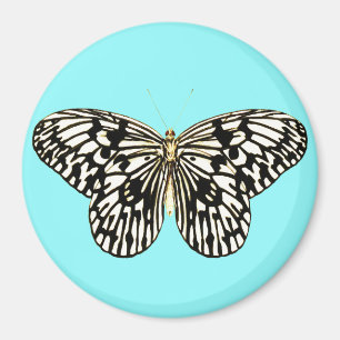 Aimant Papillon noir et blanc, arrière - plan turquoise