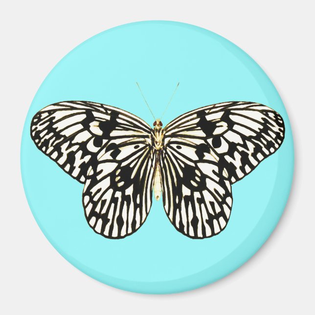Aimant Papillon noir et blanc, arrière - plan turquoise (Devant)