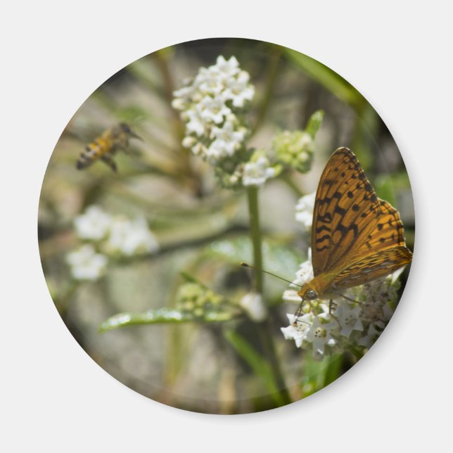 Aimant Papillon orange et abeille (Devant)