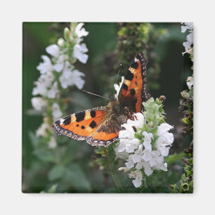 Aimant Papillon orange et fleurs blanches