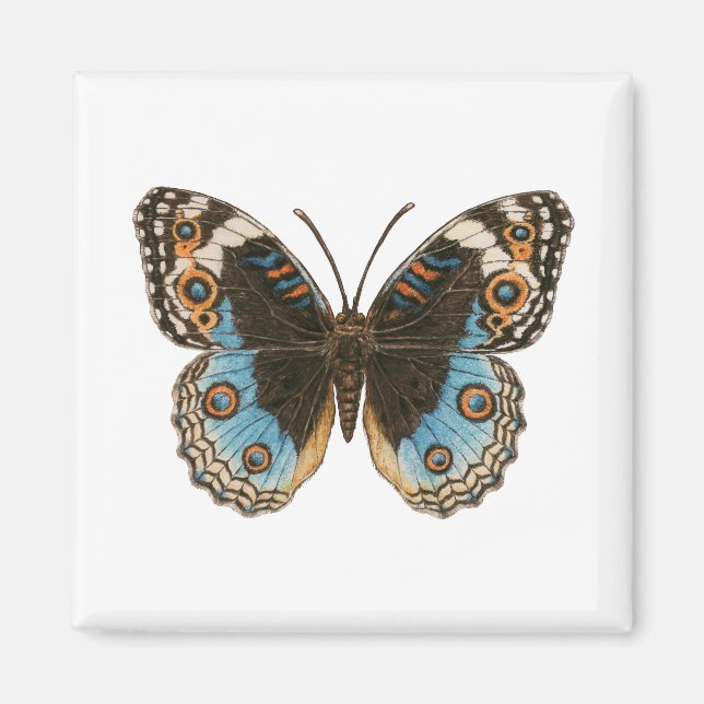 Aimant Papillon Pansy Bleu (Devant)