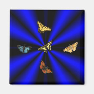 Aimant Papillon sur arc-en-ciel noir et bleu