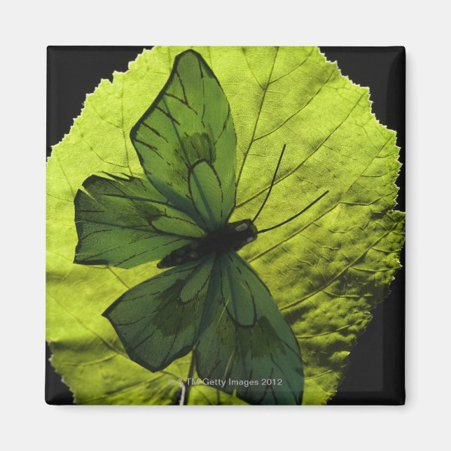 Aimant Papillon sur feuille (Devant)