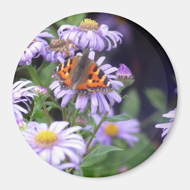 Aimant Papillon sur les fleurs (Devant)