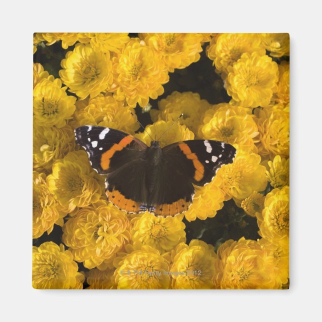 Aimant Papillon sur masques jaunes (Devant)