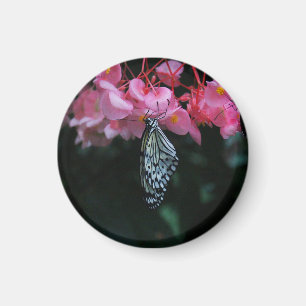 Aimant Papillon suspendu aux fleurs