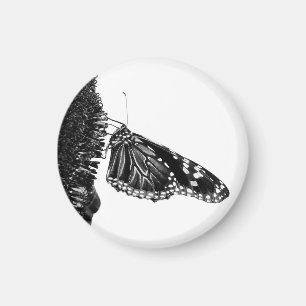 Aimant papillon timide blacq