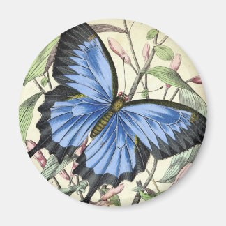 Aimant papillon vintage