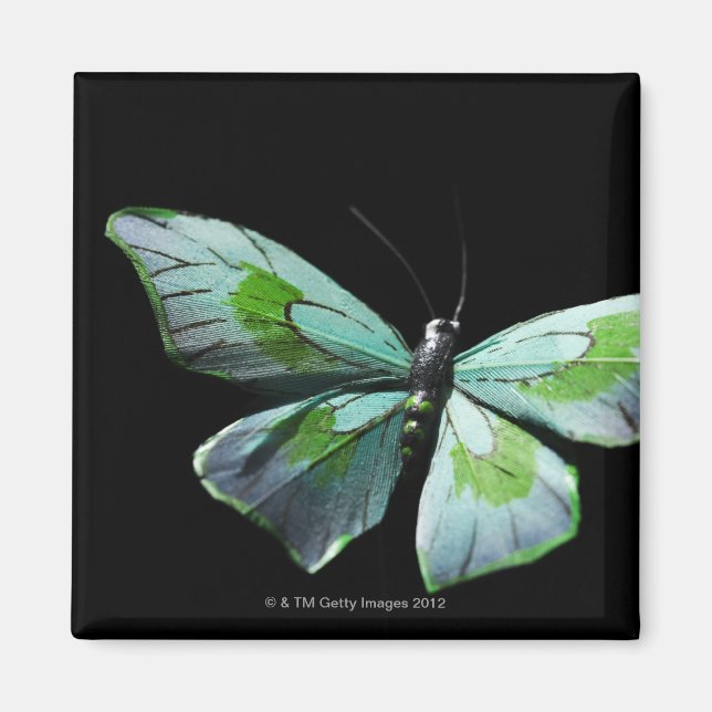 Aimant Papillon volant (Devant)