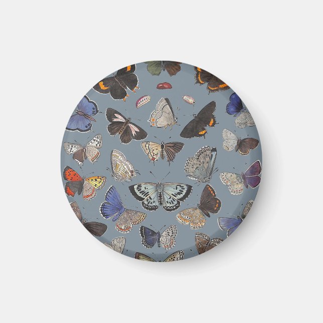 Aimant Papillons, 1842 (Devant)