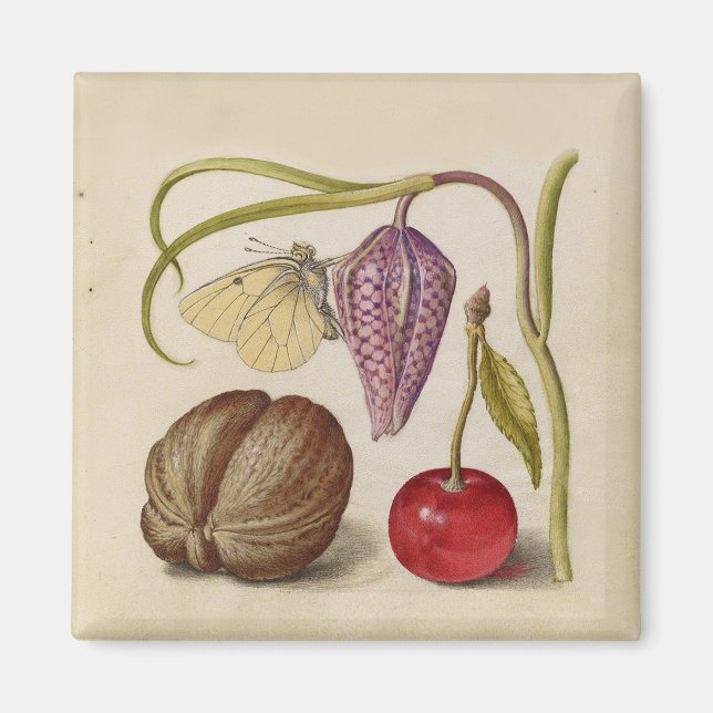 Aimant Papillons noix Fleur Cerisier Aquarelle Art (Devant)