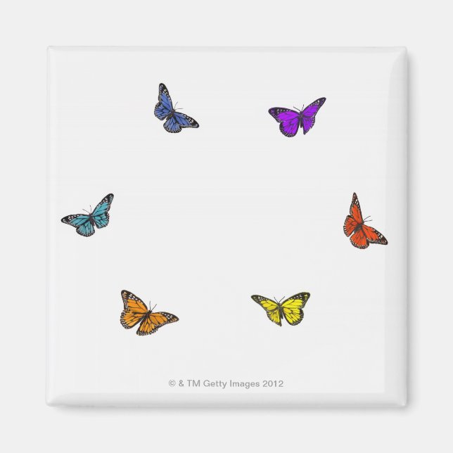 Aimant Papillons volants (Devant)