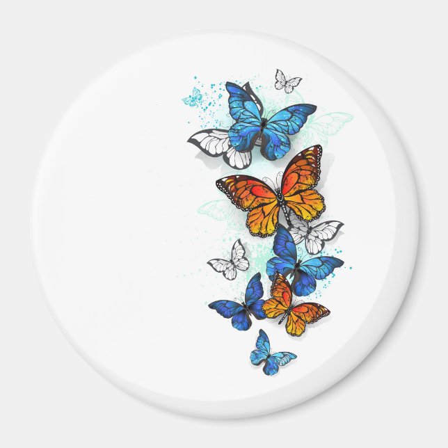 Aimant Papillons volants Morpho et Monarch (Devant)