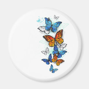 Aimant Papillons volants Morpho et Monarch