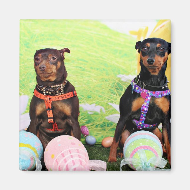 Aimant Pâques - Min Pin - Zena et Gidget (Devant)
