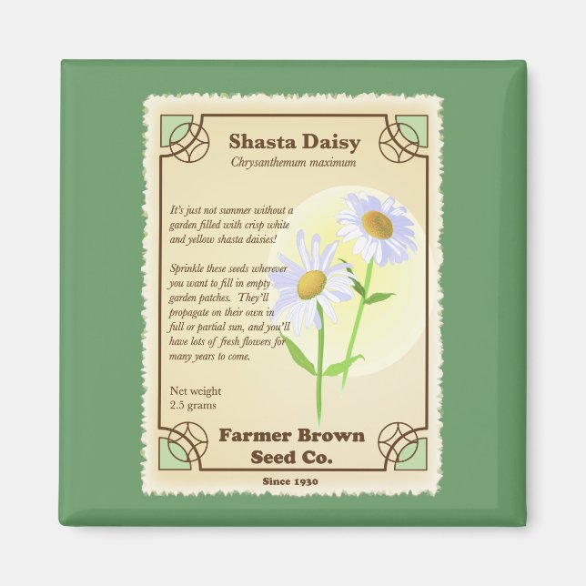 Aimant Paquet de semences Shasta Daisy (Devant)