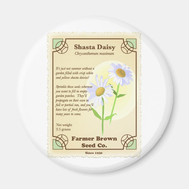 Aimant Paquet de semences Shasta Daisy (Devant)