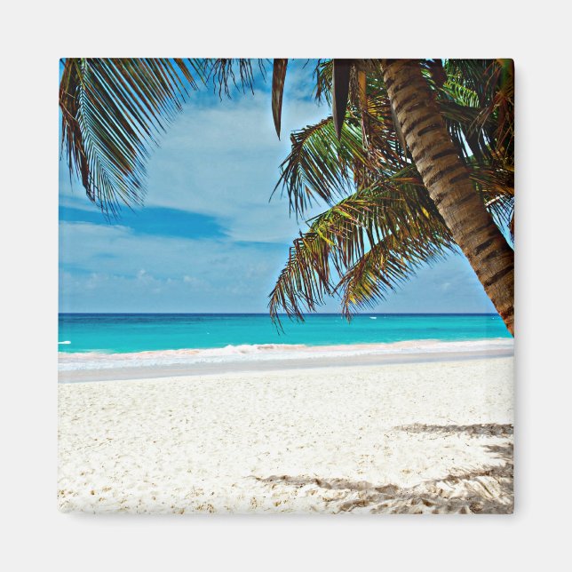 Aimant Paradis tropical (Devant)