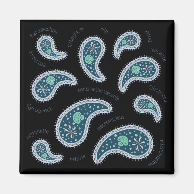 Aimant Paramecia Paisley Biologie Science Microbe Dark (Devant)
