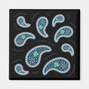Aimant Paramecia Paisley Biology Science Microbe Dark