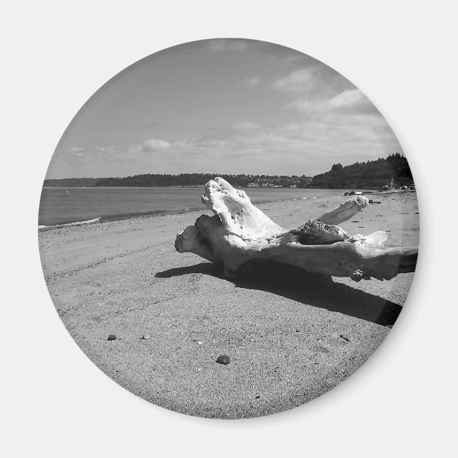 Aimant Parc de Driftwood Discovery (Devant)