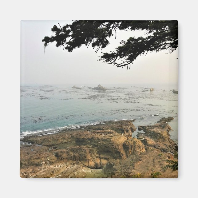 Aimant Parc d'état du Cap Arago, Côte de l'Oregon (Devant)