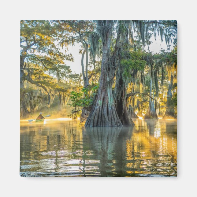 Aimant Parc d'état du lac Fausse-Pointe (Devant)