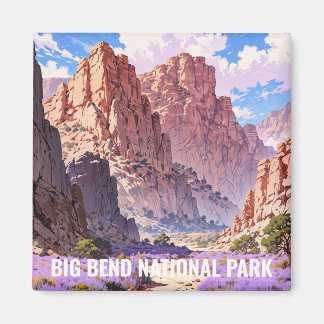 Aimant Parc national Big Bend