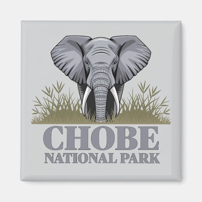 Aimant Parc national de Chobe Botswana (Devant)