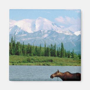 Aimant Parc national de Denali