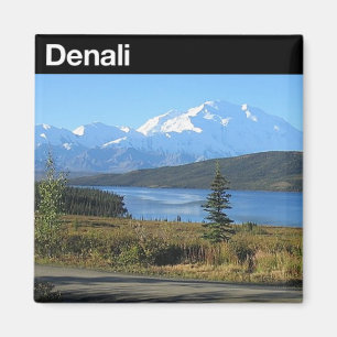 Aimant Parc national de Denali