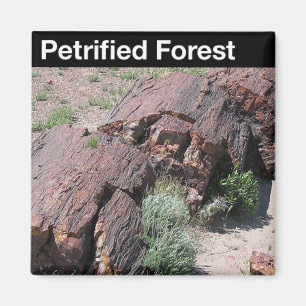 Aimant Parc national de forêt Petrified