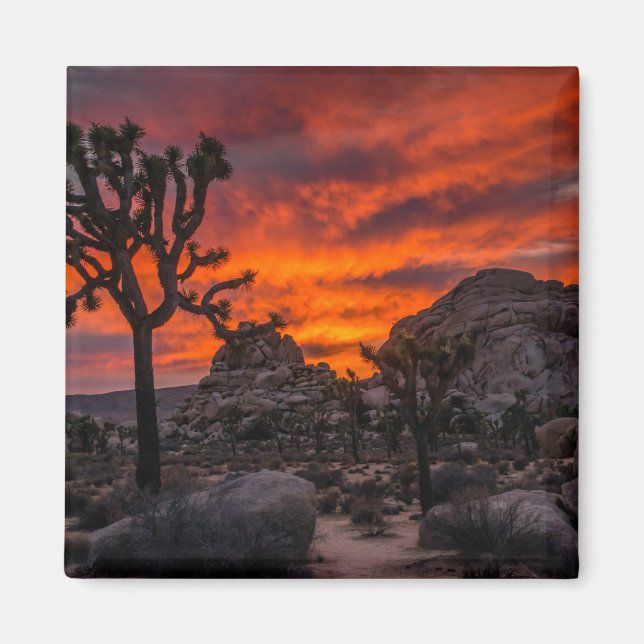 Aimant Parc national de Joshua Tree Coucher de soleil rou (Devant)