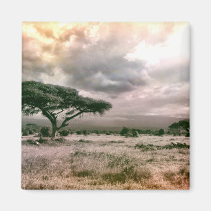 Aimant Parc national de la savane du Sahara Serengeti